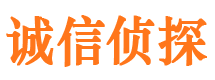 宁明侦探公司